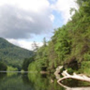 Meet your Posher, Ann